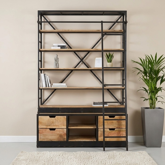 Grote boekenkast met ladder gevuld met boeken en planten in een woonkamer