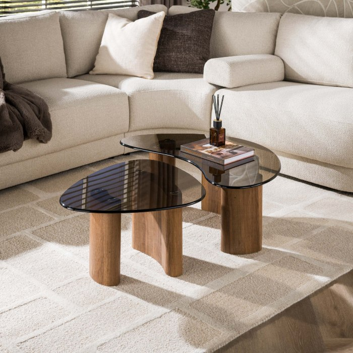 Salontafel van rookglas organisch Dalia set van 2 - sfeerfoto 1