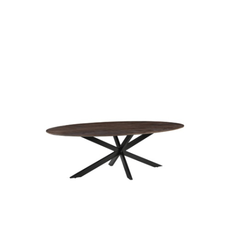 Ovale eettafel Jens mangohout 160 cm donkerbruin met spinpoot