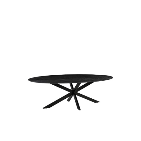 Ovale eettafel Jens mangohout 160 cm zwart met spinpoot